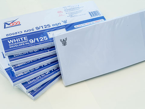 Government Envelope