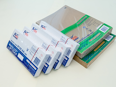 Government Envelope