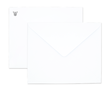 White Government Envelope No. 2 Fold