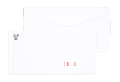 White Government Envelope No. DL/100